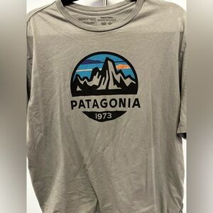 Patagonia Gray Mountain Graphic Tee